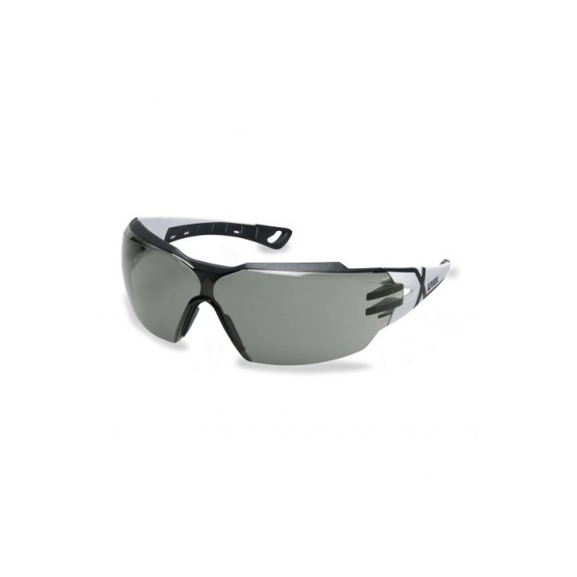 Apsauginiai akiniai Uvex Phoes CX2 9198237, tamsinti